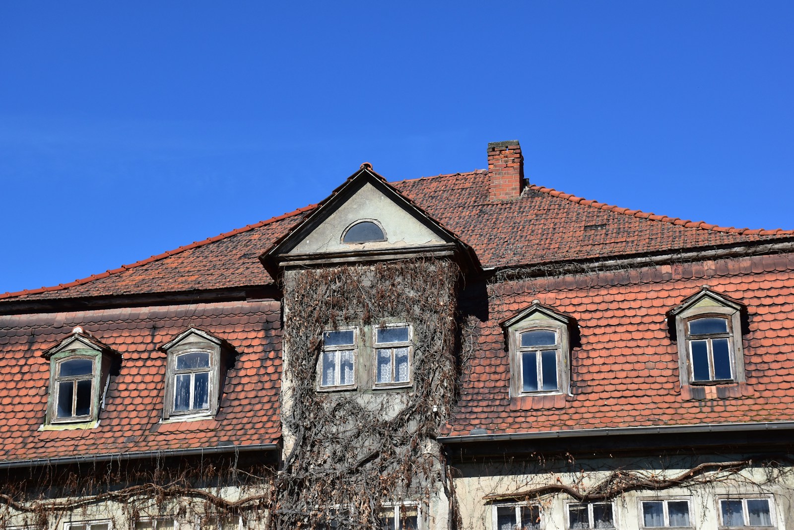 an old building with a tree growing out of it